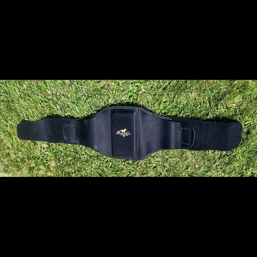 Professional’s Choice Back Support - PC 200